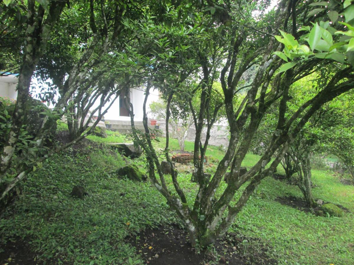 Casa Martin En Banos De Agua Santa Villa Buitenkant foto